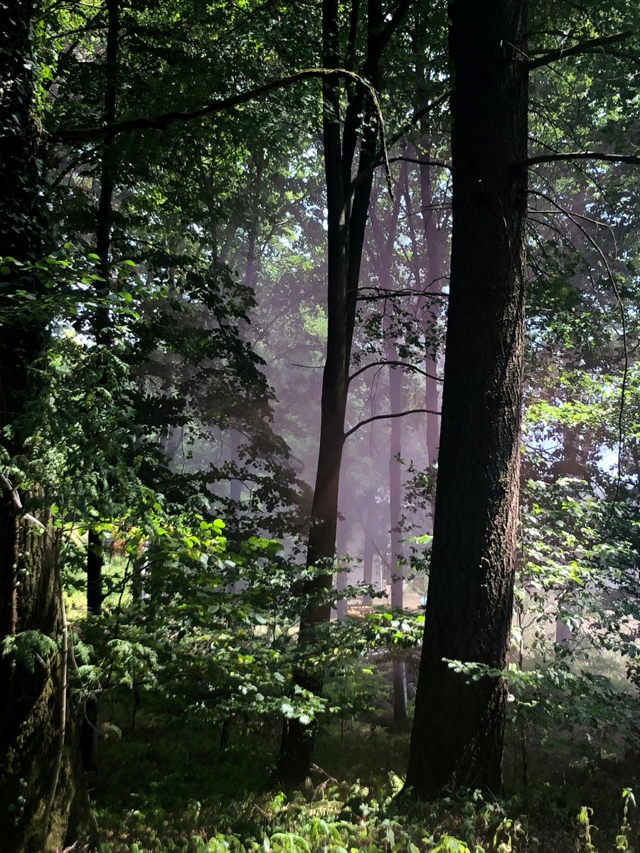 Naturerlebnis in der Südeifel – Höhle mit Lichtblick – Naturcoaching Steffen Süsse